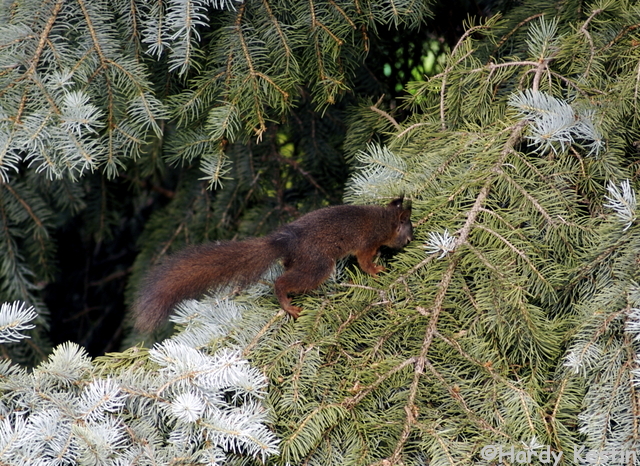 P6102439_2.jpg
