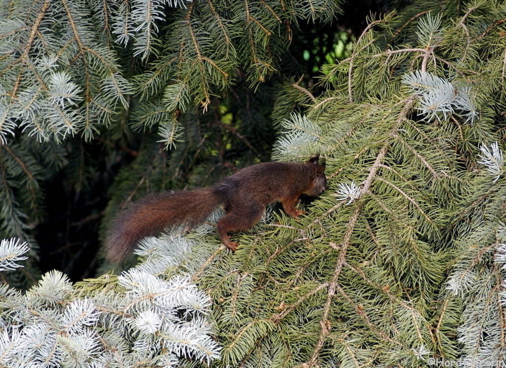 P6102439_2.jpg