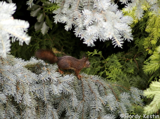 P6102444_2.jpg