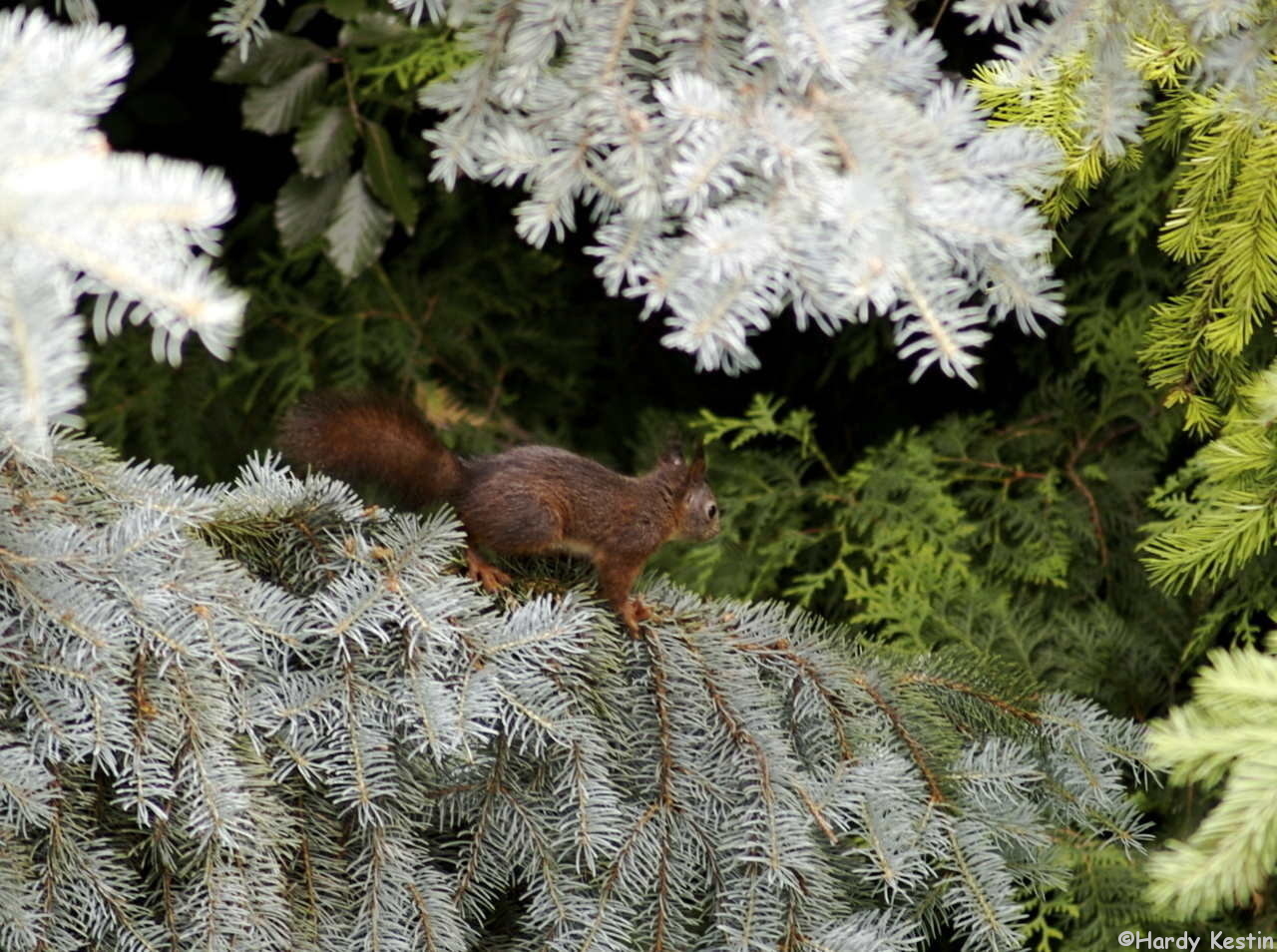 P6102444_2.jpg