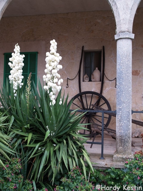 Puig de Randa