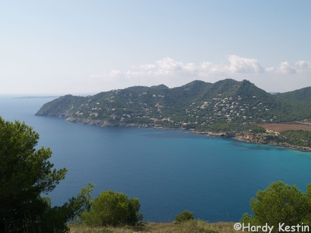 Cap d'es Pinar