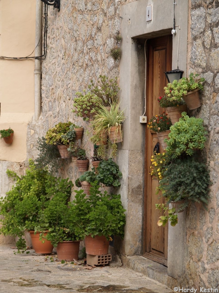 Valldemossa