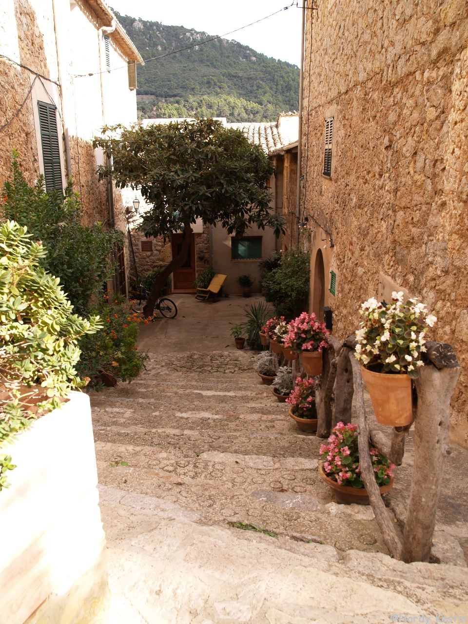 Valldemossa