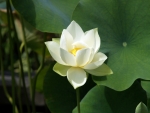 see10