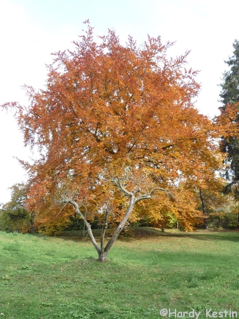 P1000739.JPG