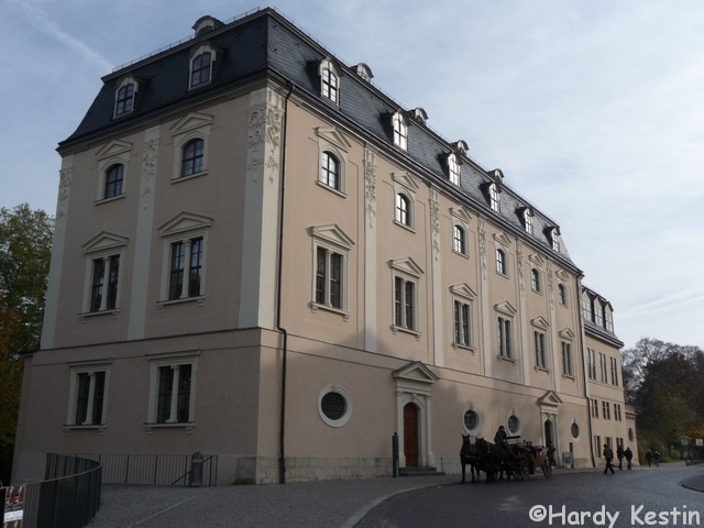 P1000742.JPG