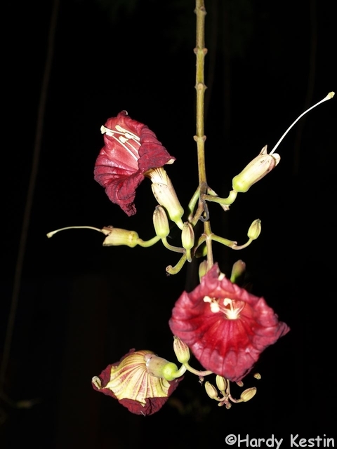 P9291165.JPG