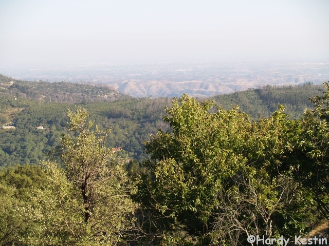 P9201425.JPG